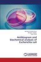Antibiogram and biochemical analysis of Escherichia coli