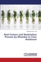 Nod Factors and Nodulation Process by Rhizobia in Cicer Arietinum