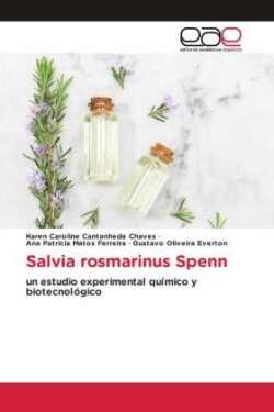 Salvia rosmarinus Spenn