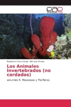 Los Animales Invertebrados (no cordados)