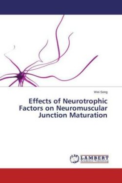 Effects of Neurotrophic Factors on Neuromuscular Junction Maturation