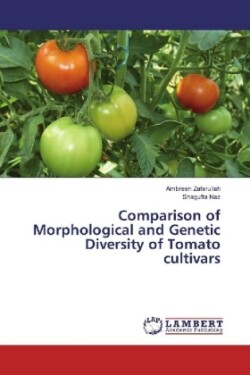 Comparison of Morphological and Genetic Diversity of Tomato cultivars