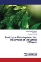 Prototype Development for Treatment of Industrial Effluent