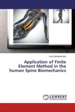 Application of Finite Element Method in the human Spine Biomechanics