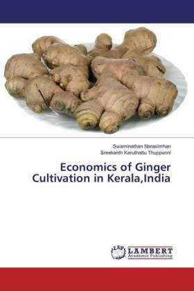 Economics of Ginger Cultivation in Kerala, India