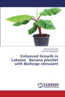 Enhanced Growth in ´Lakatan´ Banana plantlet with Bioforge stimulant