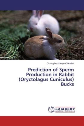 Prediction of Sperm Production in Rabbit (Oryctolagus Cuniculus) Bucks