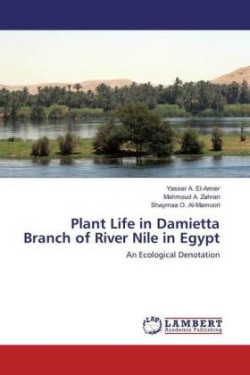 Plant Life in Damietta Branch of River Nile in Egypt