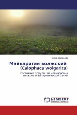 Majkaragan volzhskij (Calophaca wolgarica)