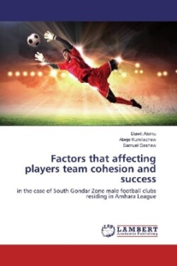 Factors that affecting players team cohesion and success