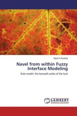 Navel from within Fuzzy Interface Modeling