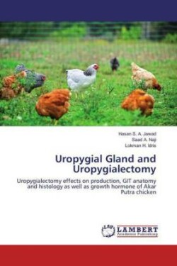 Uropygial Gland and Uropygialectomy