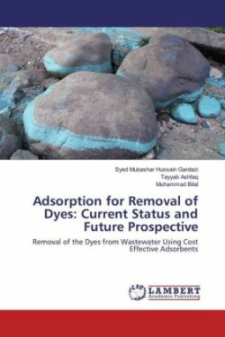 Adsorption for Removal of Dyes: Current Status and Future Prospective