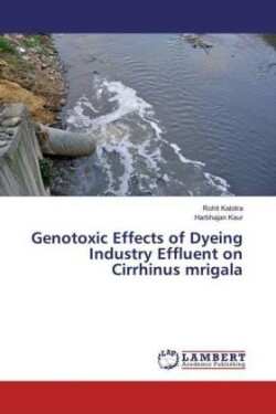 Genotoxic Effects of Dyeing Industry Effluent on Cirrhinus mrigala