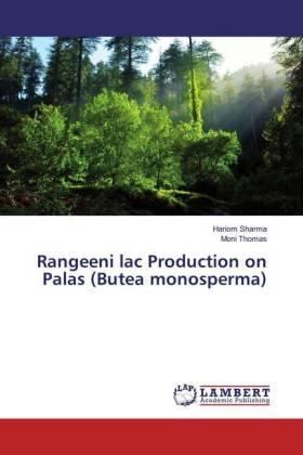 Rangeeni lac Production on Palas (Butea monosperma)