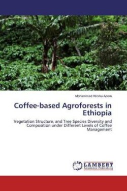 Coffee-based Agroforests in Ethiopia