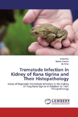 Trematode Infection in Kidney of Rana tigrina and Their Histopathology