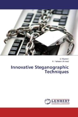 Innovative Steganographic Techniques