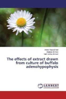 The effects of extract drawn from culture of buffalo adenohypophysis