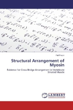 Structural Arrangement of Myosin