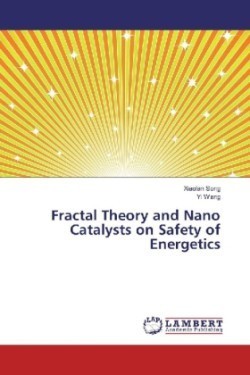 Fractal Theory and Nano Catalysts on Safety of Energetics