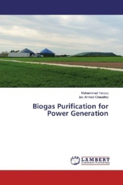 Biogas Purification for Power Generation