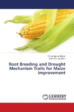 Root Breeding and Drought Mechanism Traits for Maize Improvement