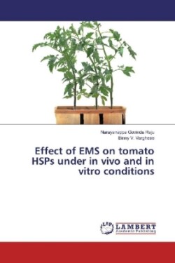 Effect of EMS on tomato HSPs under in vivo and in vitro conditions