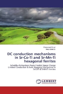 DC conduction mechanisms in Sr-Co-Ti and Sr-Mn-Ti hexagonal ferrites