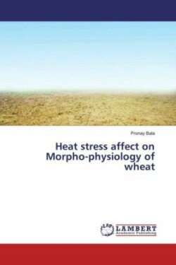 Heat stress affect on Morpho-physiology of wheat