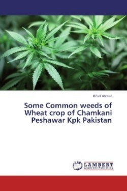 Some Common weeds of Wheat crop of Chamkani Peshawar Kpk Pakistan