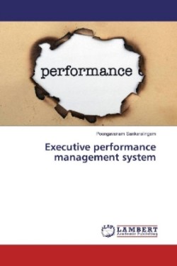 Executive performance management system