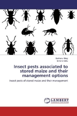 Insect pests associated to stored maize and their management options