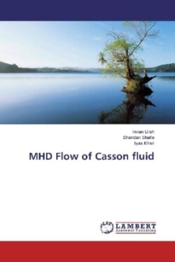 MHD Flow of Casson fluid