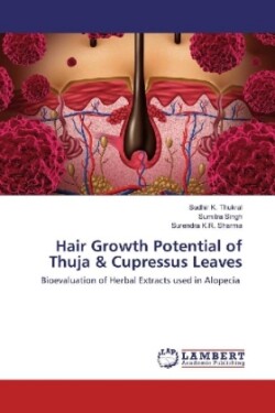 Hair Growth Potential of Thuja & Cupressus Leaves