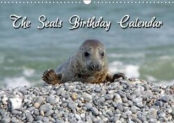 The Seals / UK-Version / Birthday Calendar (Table Calendar perpetual DIN A5 Landscape)