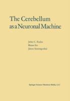 Cerebellum as a Neuronal Machine