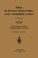 Sollen die Berliner Elektrizitätswerke verstadtlicht werden?