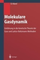 Molekulare Gasdynamik