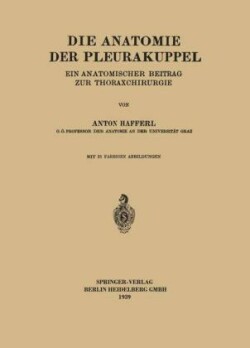 Die Anatomie der Pleurakuppel