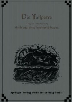 Die Talsperre