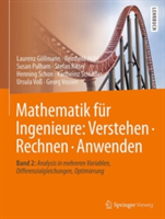 Mathematik für Ingenieure: Verstehen – Rechnen – Anwenden