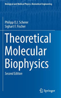 Theoretical Molecular Biophysics