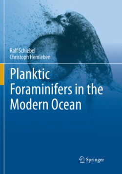 Planktic Foraminifers in the Modern Ocean