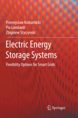 Electric Energy Storage Systems