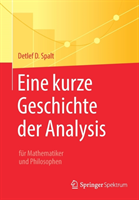 Eine kurze Geschichte der Analysis