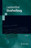 Strafvollzug