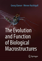 Evolution and Function of Biological Macrostructures