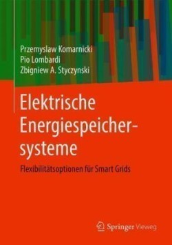 Elektrische Energiespeichersysteme