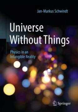 Universe Without Things